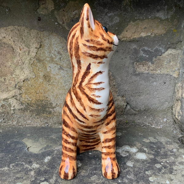 Ginger Tabby Large Cat GBC