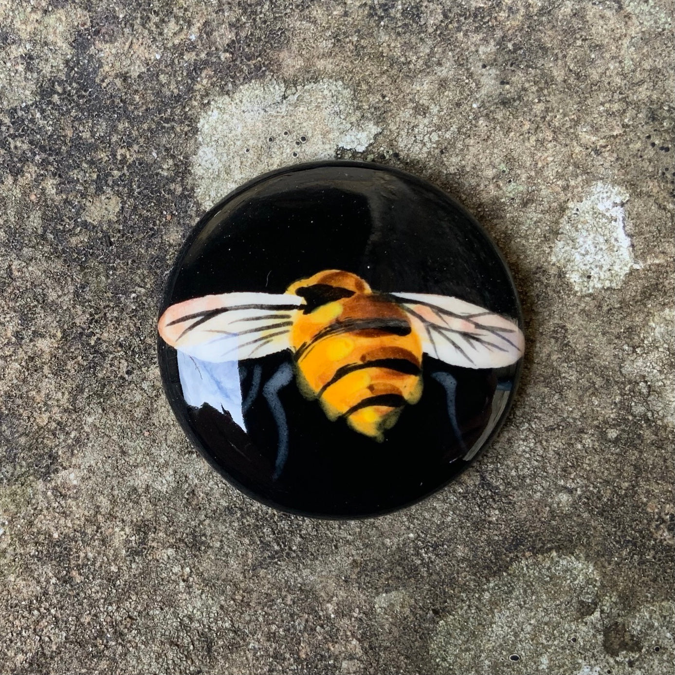 Bee Black Background Fridge Magnet GBC