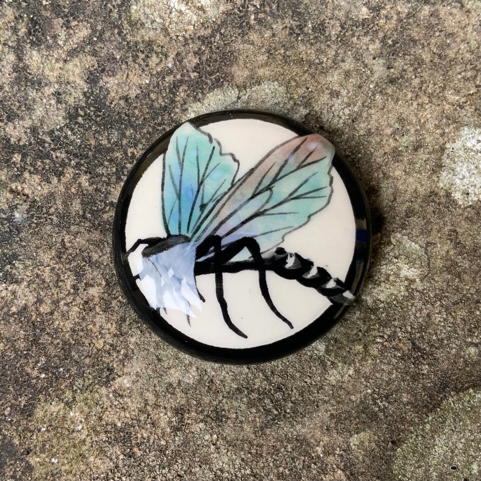 Dragonfly Fridge Magnet GBC